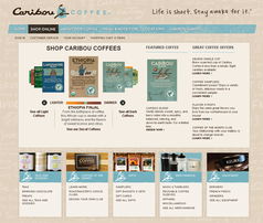 网站设计灵感 打造令人惊艳的网下商店网页设计