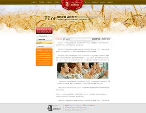 香源食品官方网站建设 匠心打造品牌数字化新名片